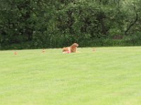 Bendix und das Boxband (60)